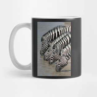 Zebras drinking Mug